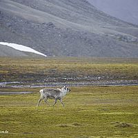 2014-07-11 10-52-38