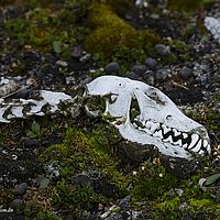 2014-07-11 11-15-07