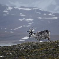 2014-07-11 21-54-31