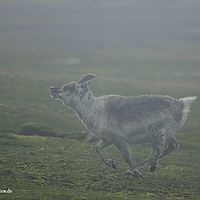 2014-07-12 10-40-14