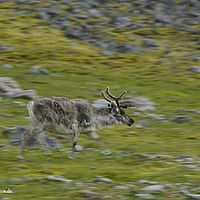 2014-07-12 10-42-23