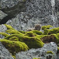 2014-07-12 11-05-45