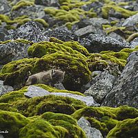 2014-07-12 11-06-00