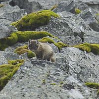 2014-07-12 11-10-10-4