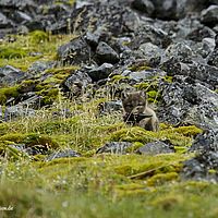 2014-07-12 11-42-01