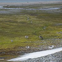 2014-07-12 12-22-37