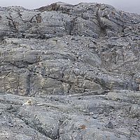 2014-07-14 14-59-34