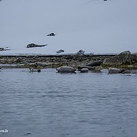 2014-07-03 14-13-27