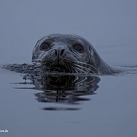 2014-07-03 14-19-14