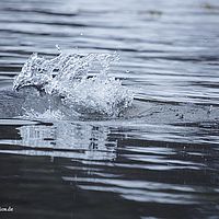 2014-07-03 14-25-49