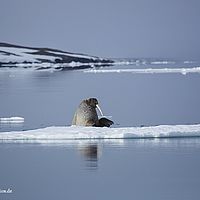 2014-07-05 18-48-45-4