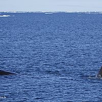 2014-07-07 17-32-36-3