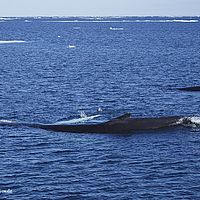 2014-07-07 17-33-35-8