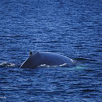 2014-07-07 17-41-36