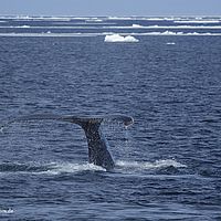 2014-07-07 17-49-44-4