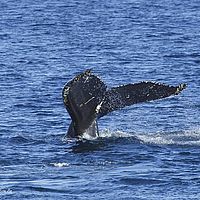2014-07-07 18-37-17-6