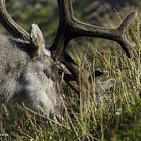 2014-07-16 10-24-15