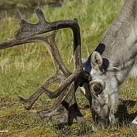 2014-07-16 11-07-09