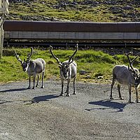 2014-07-16 11-11-47