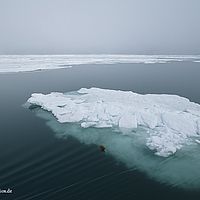 2014-07-05 13-27-33
