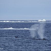 2014-07-07 18-42-28