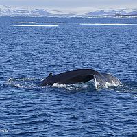 2014-07-07 18-56-45-2
