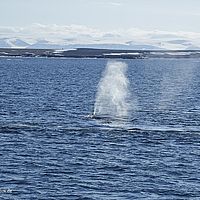 2014-07-07 19-06-21