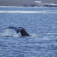 2014-07-07 19-13-52-2