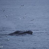2014-07-08 00-08-26