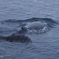 2014-07-08 00-11-31-3