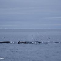 2014-07-08 00-20-20-7