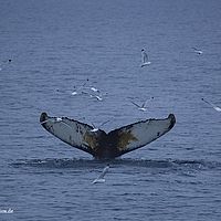 2014-07-08 00-31-59