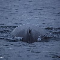 2014-07-08 00-46-01