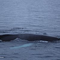 2014-07-08 00-47-33