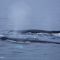 2014-07-08 00-48-22