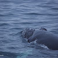 2014-07-08 00-55-22
