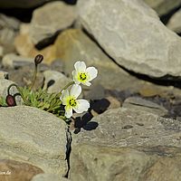 2014-06-29 09-59-21