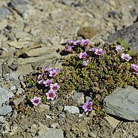 2014-06-29 10-08-28