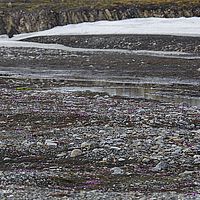 2014-07-01 11-56-27