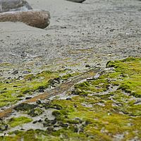 2014-07-03 10-34-19