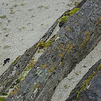 2014-07-03 10-35-31