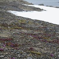 2014-07-03 11-48-32