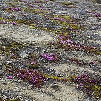 2014-07-03 11-48-53