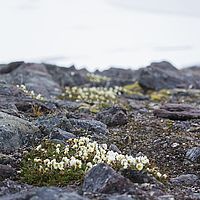 2014-07-04 10-15-56
