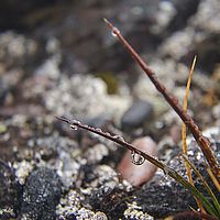 2014-07-04 10-31-26