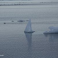 2014-07-07 08-53-50
