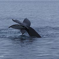 2014-07-08 01-04-21-3