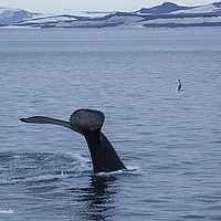 2014-07-08 01-05-32