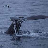 2014-07-08 01-11-31