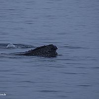 2014-07-08 01-16-23
